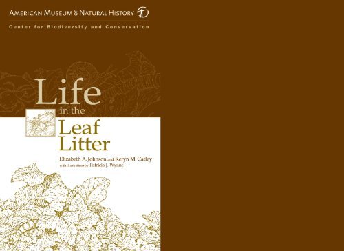 Life In The Leaf Litter - American Museum of Natural History