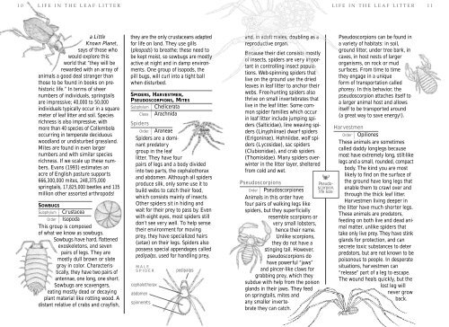 Life In The Leaf Litter - American Museum of Natural History