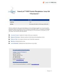 SensoLyte™ FDP Protein Phosphatase Assay Kit *Fluorimetric*