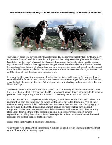 ILLUSTRATED BREED STANDARD - Bernese Mountain Dog Club ...