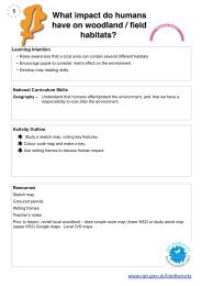 Woodland Lesson 5 - The impact of humans on woodland and f