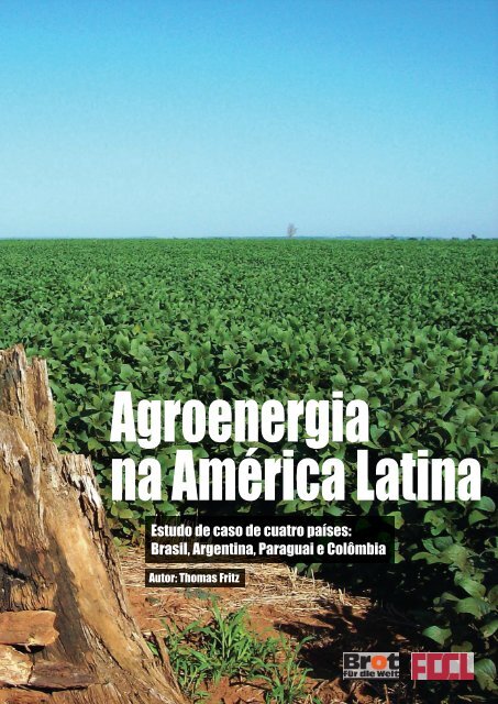 Estudo de caso de cuatro países: Brasil, Argentina, Paraguai ... - FDCL