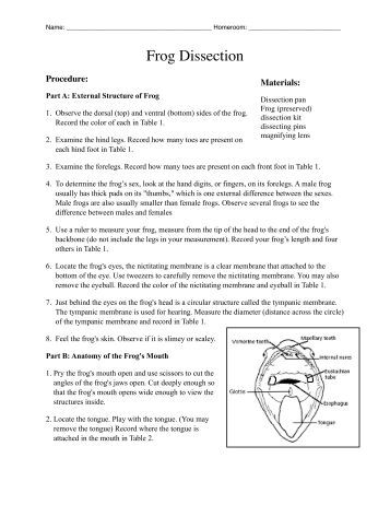 Printables Virtual Frog Dissection Worksheet virtual frog dissection dissection