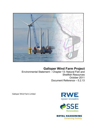 Galloper Wind Farm Project - Galloper Wind Farm proposal