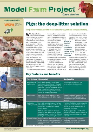 Pigs: the deep-litter solution - Model Farm Project