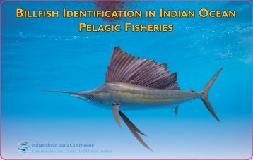 Billfish identification indian ocean Pelagic fisheries