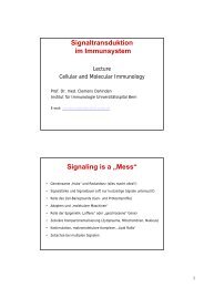 Signaltransduktion im Immunsystem Signaling is a „Mess“