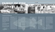 family of fish - Deutsche See