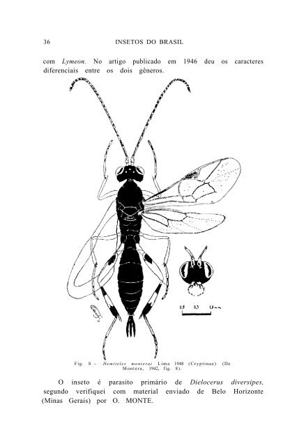 Superfamília ICHNEUMONOIDEA - Acervo Digital de Obras Especiais