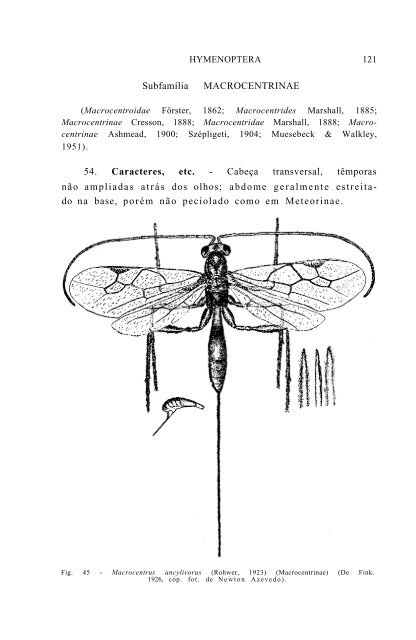 SuperfamÃ­lia ICHNEUMONOIDEA - Acervo Digital de Obras Especiais