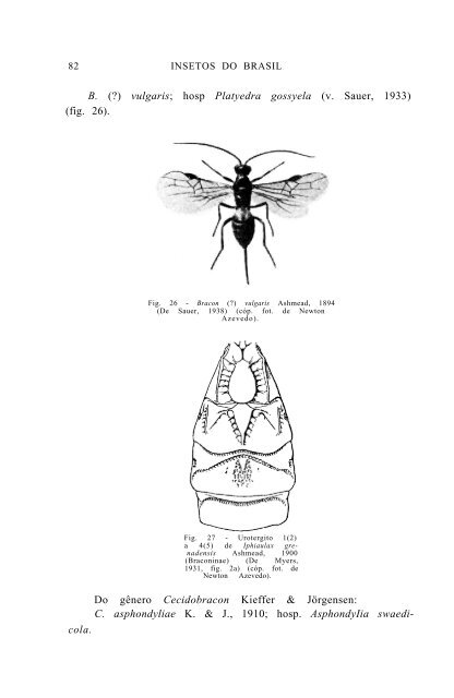 SuperfamÃ­lia ICHNEUMONOIDEA - Acervo Digital de Obras Especiais