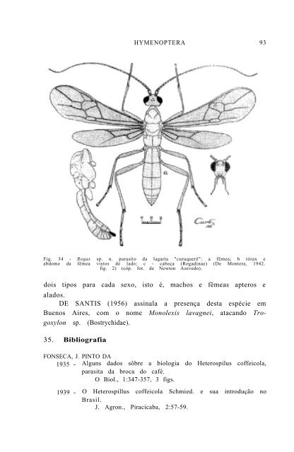 SuperfamÃ­lia ICHNEUMONOIDEA - Acervo Digital de Obras Especiais