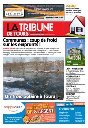 Un froid polaire à Tours !P.2 - la Tribune de Tours