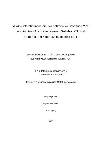 Dokument 1.pdf - Universität Hohenheim