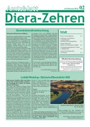 Amtsblatt 02/2012 - Diera-Zehren