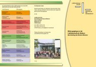 Download der Infobroschüre “Übersicht Bildungsgänge” (PDF) - LFS ...