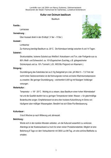 Kultur von Ocimum basilicum - Fachschule für Gartenbau