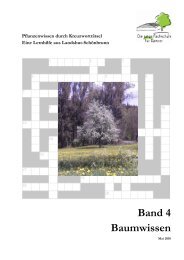 Baumwissen - pdf-Vorlage - Fachschule für Gartenbau