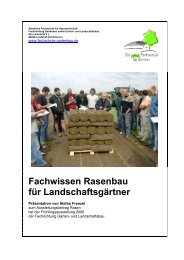 Fachwissen Rasenbau für Landschaftsgärtner - Fachschule für ...