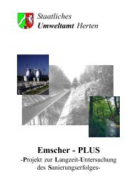 Emscher - PLUS - StUA Herten