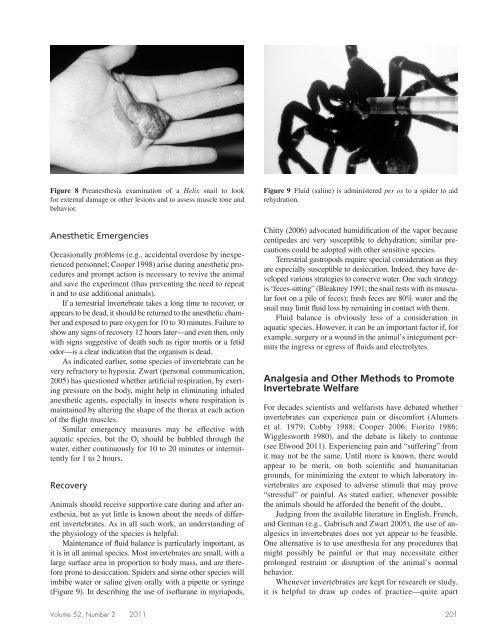 Anesthesia, Analgesia, and Euthanasia of Invertebrates