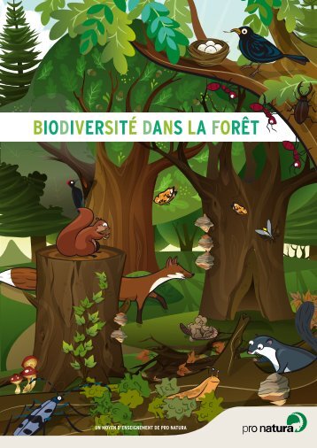 BIODIVERSITÉ DANS LA FORÊT - Pro Natura