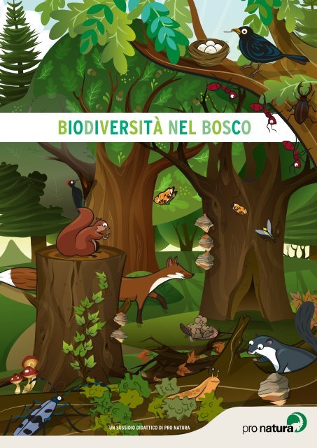 BIODIVERSITÀ NEL BOSCO