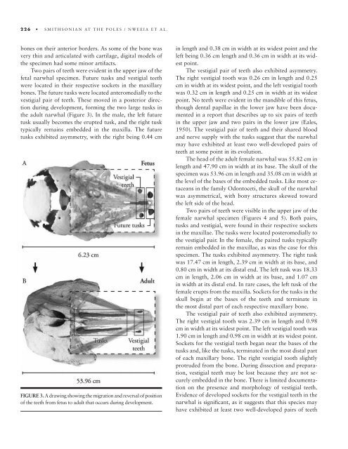 Smithsonian at the Poles: Contributions to International Polar