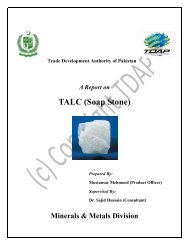 TALC (SOAP STONE) - Trade Development Authority Of Pakistan