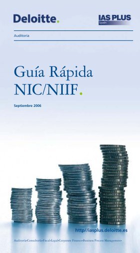 Guía Rápida NIC/NIIF.