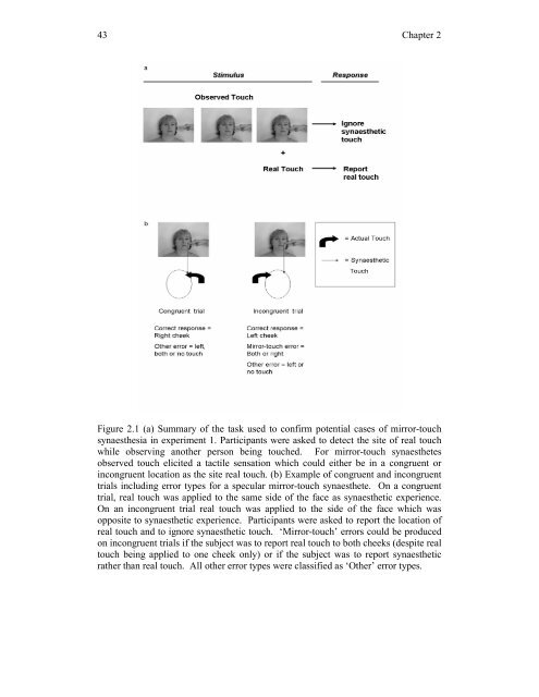 Mirror-touch synaesthesia: the role of shared ... - UCL Discovery