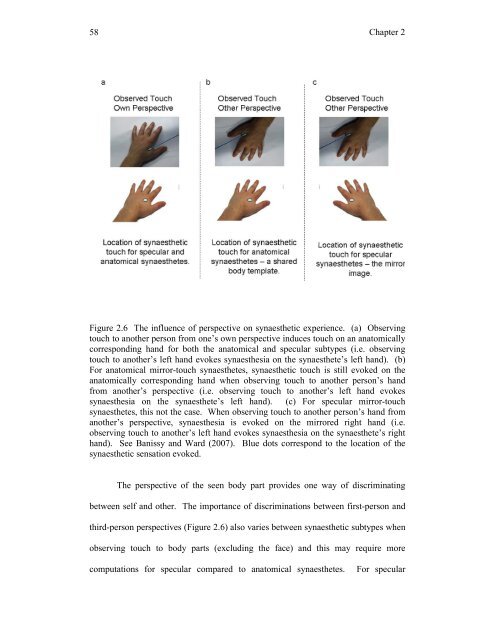 Mirror-touch synaesthesia: the role of shared ... - UCL Discovery