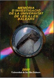 memòria d'investigació 2000 - Universitat de les Illes Balears