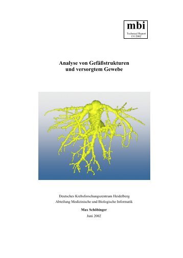 Analyse von Gefäßstrukturen und versorgtem Gewebe