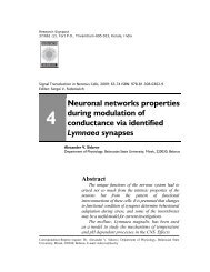 Neuronal networks properties during modulation of conductance via ...