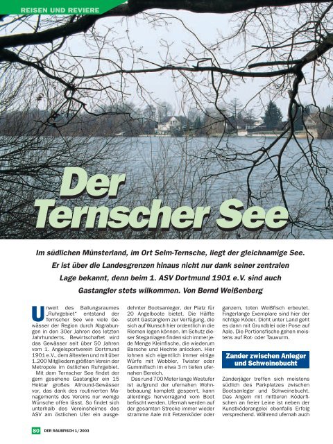 Ternscher See - Raubfisch