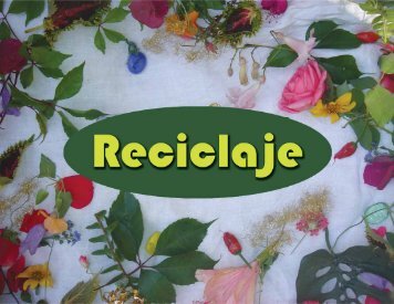 Reciclaje web (PDF) - Pura Vida