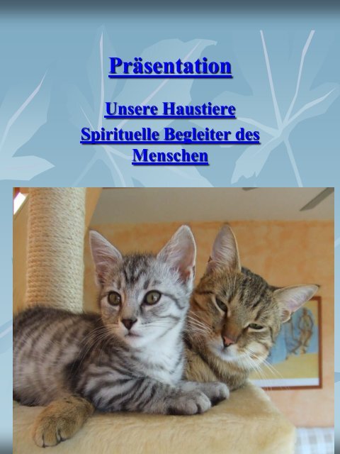 Unsere Haustiere - Spirituellen Begleiter des ... - Tiergefluester.at