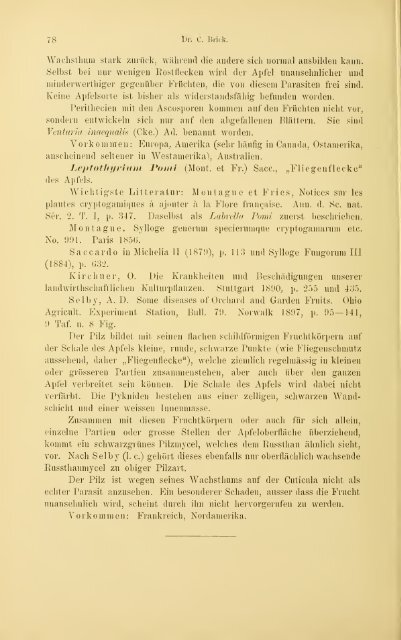 Jahrbuch der hamburgischen Wissenschaftlichen Anstalten