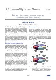 Seltene Erden. Commodity Top News Nr. 31. Stand: 20.11.2009 - BGR
