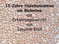 13 Jahre Haselnussanbau am Bodensee