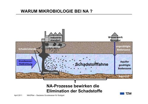 Prozessverständnis des LCKW-Abbaus. Aktueller ... - MAGPlan