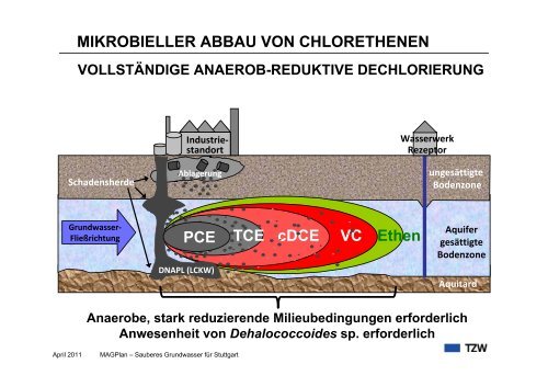 Prozessverständnis des LCKW-Abbaus. Aktueller ... - MAGPlan