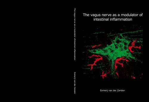 The Vagus Nerve As A Modulator Of Intestinal Inflammation