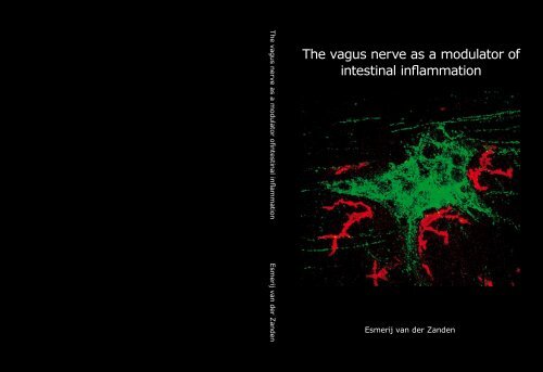 The vagus nerve as a modulator of intestinal inflammation - TI Pharma