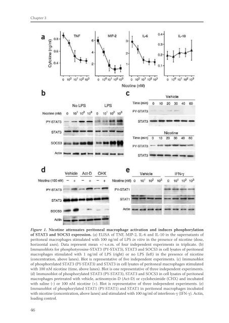 The vagus nerve as a modulator of intestinal inflammation - TI Pharma