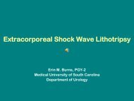 Extracorporeal Shock Wave Lithotripsy - Clinical Departments ...