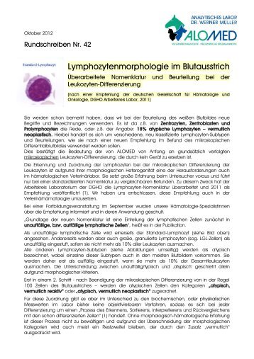 Lymphozytenmorphologie im Blutausstrich