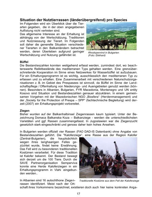 Balkan_Schlussbericht Phasen I + II - SAVE Foundation