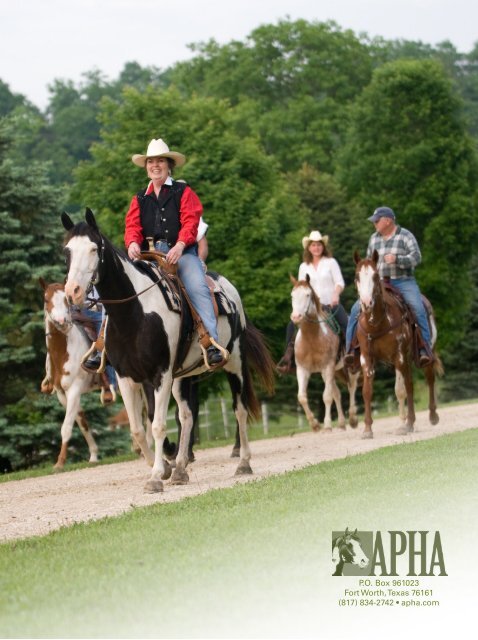 American - Press - American Paint Horse Association